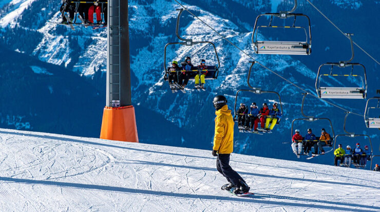 Алпийски ски